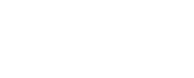 Polaris Insights