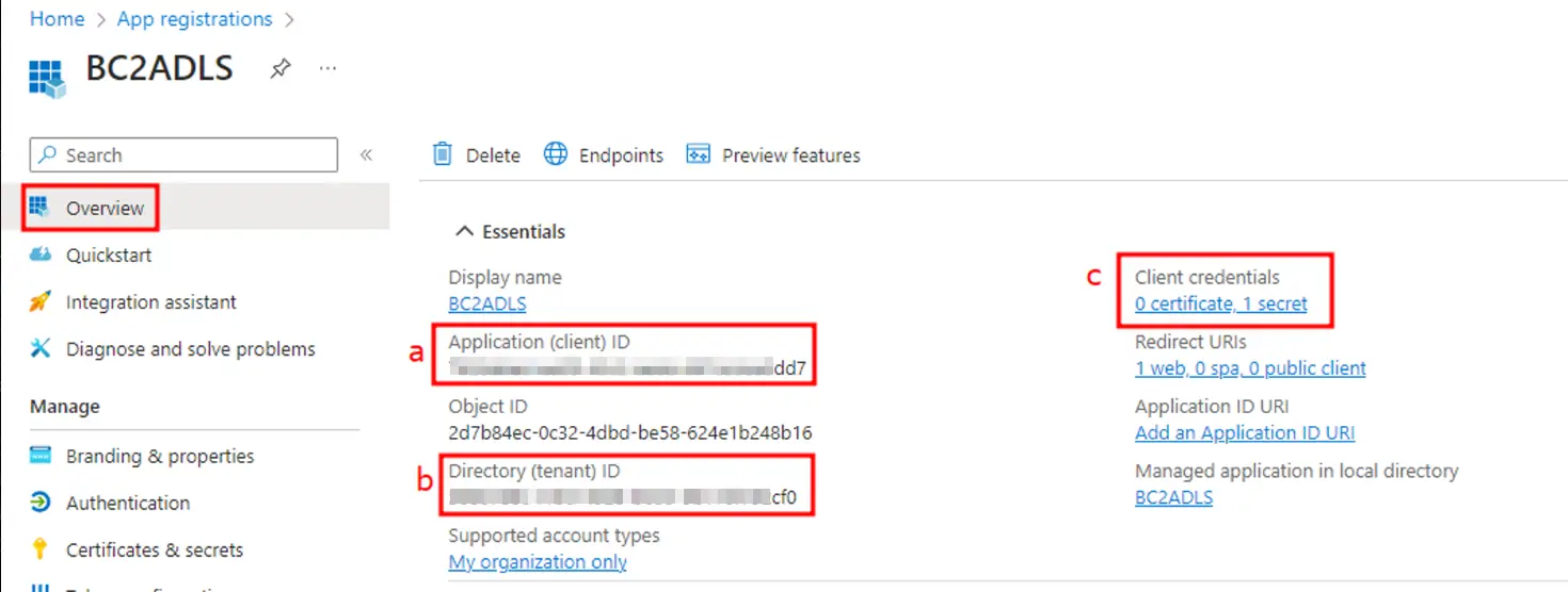 App registration overview showing the Application (client) ID and Directory (tenant) ID
